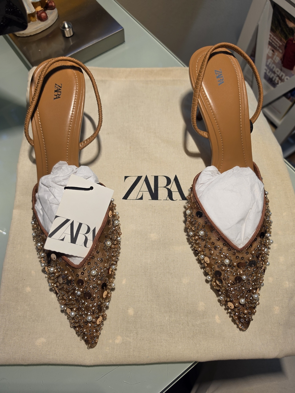 Zara Embellished Pointed Slingback Mules in Brown